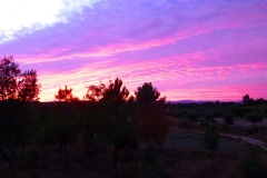 Summer evening on the farm with fascinating sky