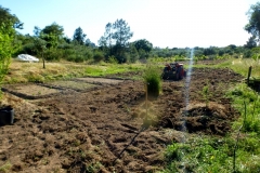 Preparing the vegetable garden