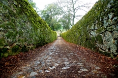 Straße zur alten Öl-Mühle in Povoa